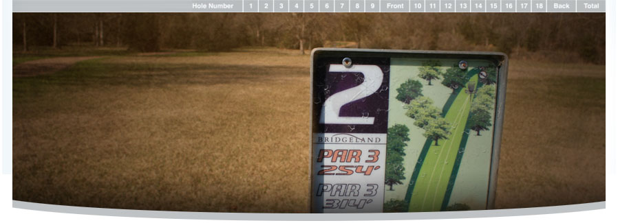 Spring Valley Disc Golf - Finesse Fairway